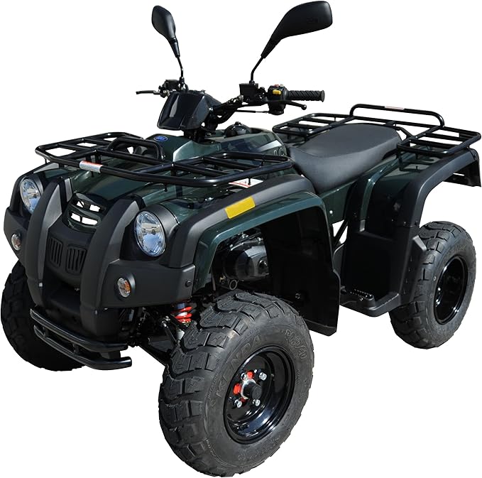 Amazon 台湾製四輪バギー 公道走行可 ADLY ATV－50RU2 オートバイ・電動バイク・バギー