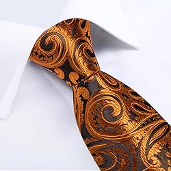 DiBanGu Silk Paisley Ties for Men Woven Necktie and
