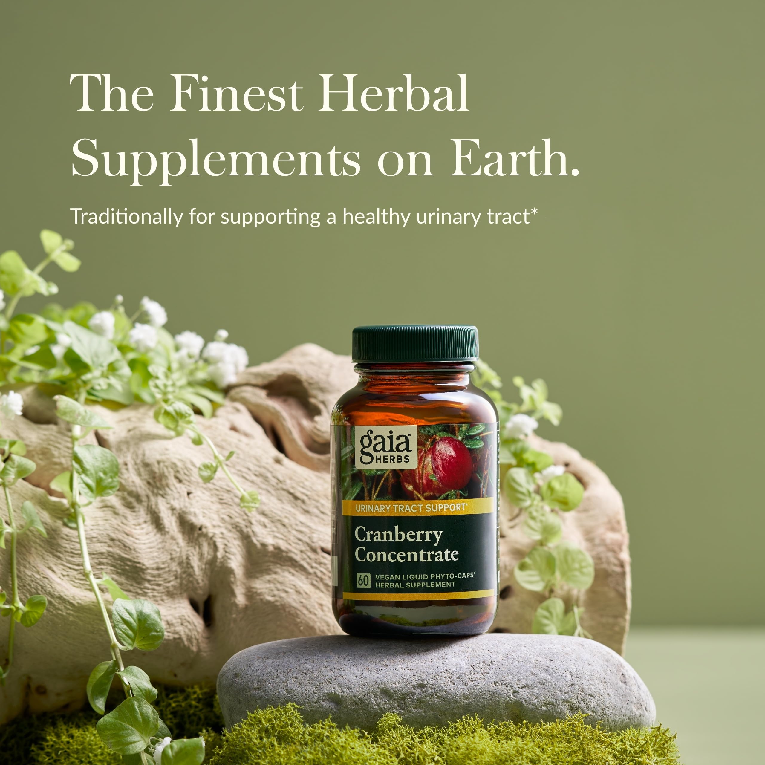 Gaia Herbs Cranberry Concentrate - Helps Maintain Urinary Tract Health - Made with Organic Cranberry Fruit Juice Extract in Convenient Capsules - 60 Vegan Liquid Phyto-Capsules (30-Day Supply)