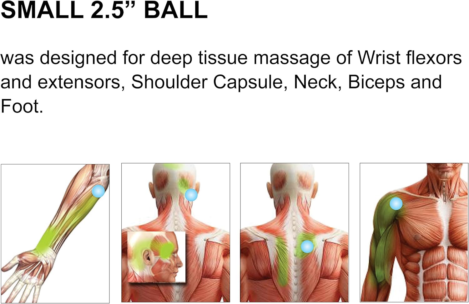 Massage Ball - 3 Set - Deep Tissue Massage Therapy, Myofascial Release, Trigger Point Massager - Muscle Pain Relief, Muscle Knots Foam Ball, Self Massage Physical Therapy Ball (GREEN/WHITE): Sports & Outdoors