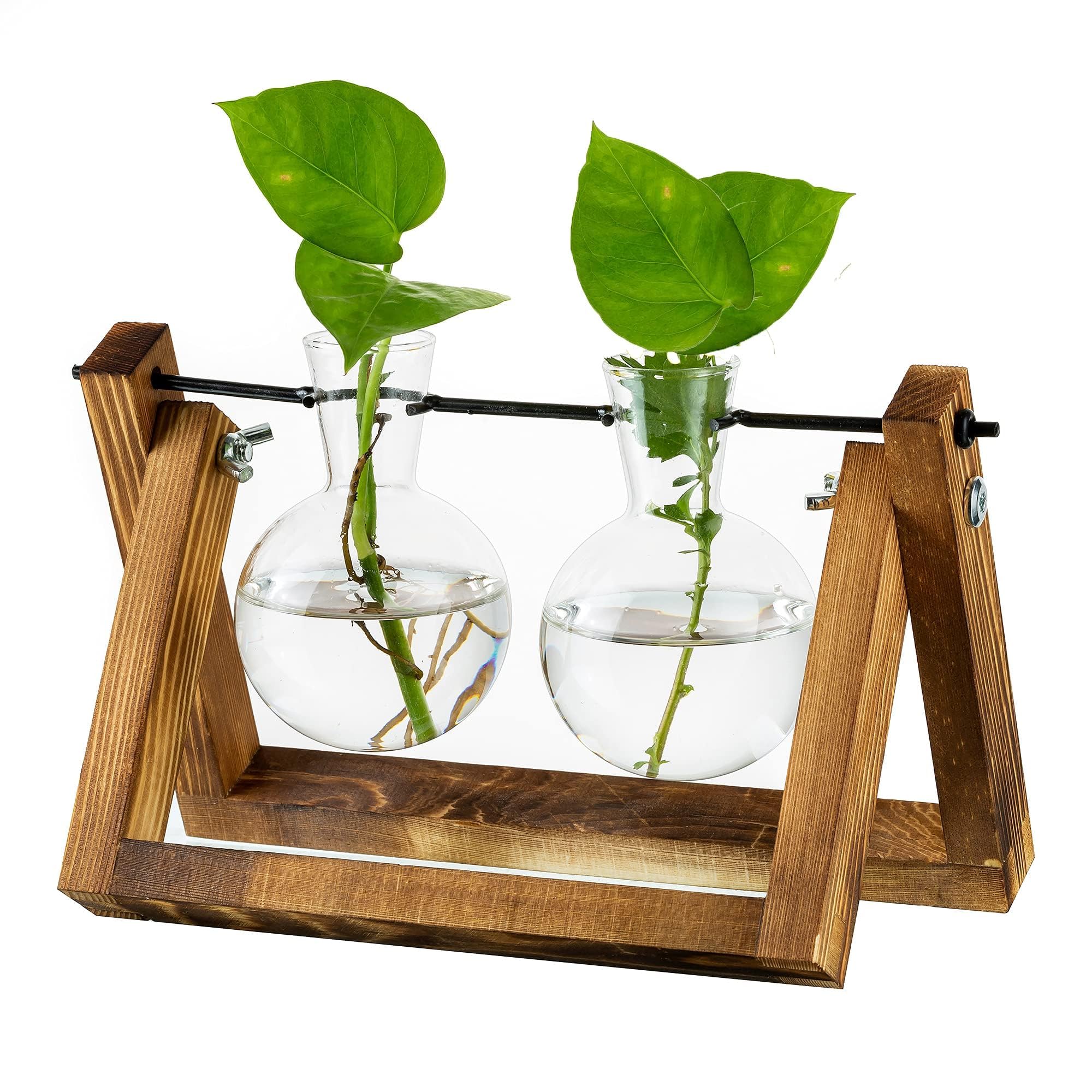 Propagation Station for Plants Upgrade Bulb Vase Planter with Wooden Stand Glass Plant Pot Indoor for Table Centrepiece Decoration Vintage Home Office Accessories,2 Bulbs