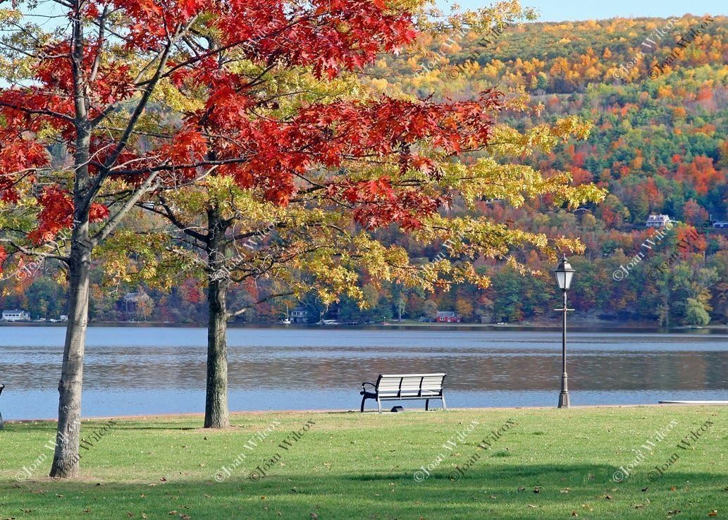 Photographs - Scenic Autumn Fall Foliage & Lakeside Park Bench Keuka Lake Hammondsport, NY Fine Art Photography Wall Art Photo Print