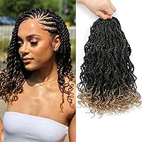 Amazon.com : Goddess Box Braids Crochet Braids Hair with Full