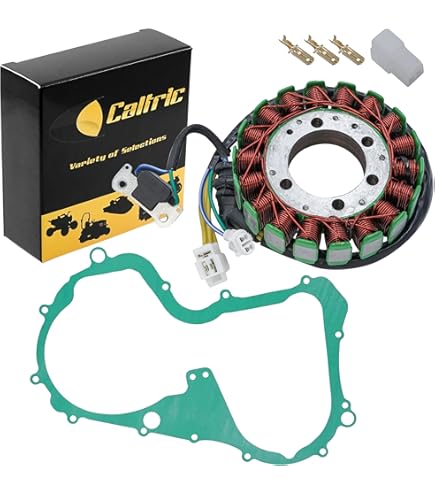 50ブレインタートル Amazon.com: Caltric Stator and Gasket Compatible with Suzuki