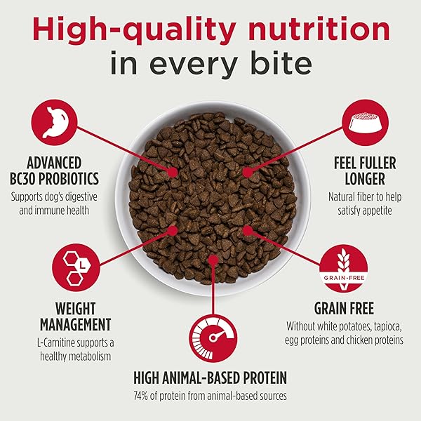 NULO FREESTYLE ADULT TRIM DRY DOG FOOD – HIGH PROTEIN GRAIN FREE DOG FOOD FOR HEALTHY WEIGHT MANAGEMENT, NATURAL KIBBLE WITH PROBIOTICS, L-CARNITINE AND FIBER FOR SMALL, MEDIUM, LARGE BREEDS, 6LB BAG