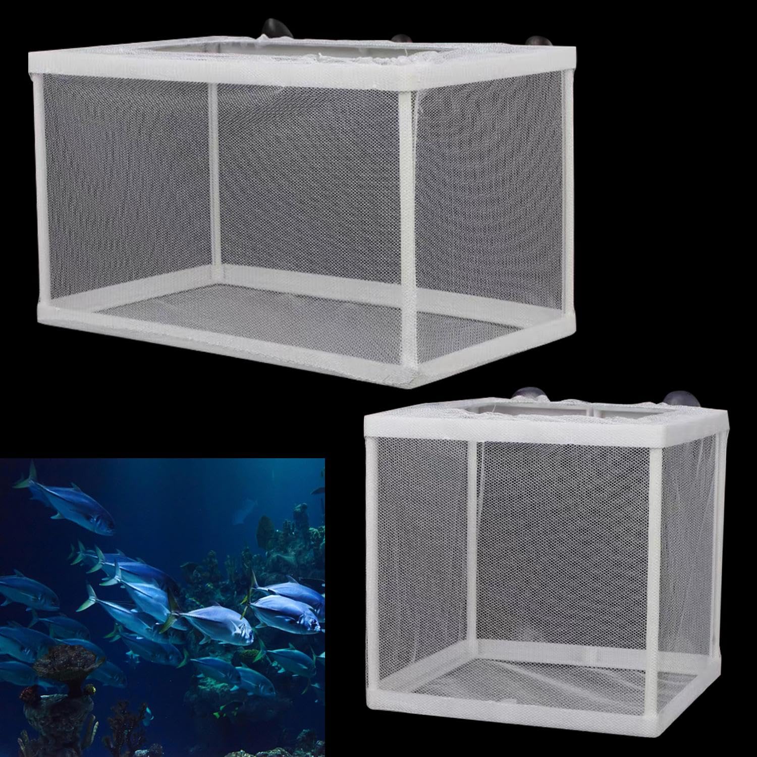 TYGFRT 2 Pieces Fish Tank Isolation Net, Aquarium Isolation Box, Isolation Net With Suction Cup, Fry Hatching Net, Nursery Isolation Box, Breeding Box, Fry Breeding Box