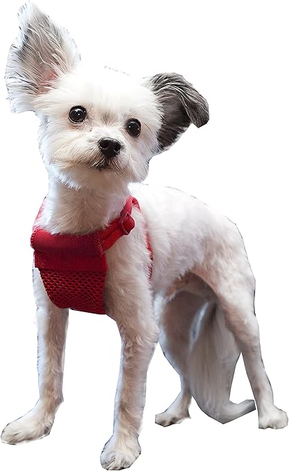 sporn comfort harness