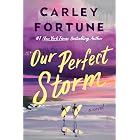 Our Perfect Storm