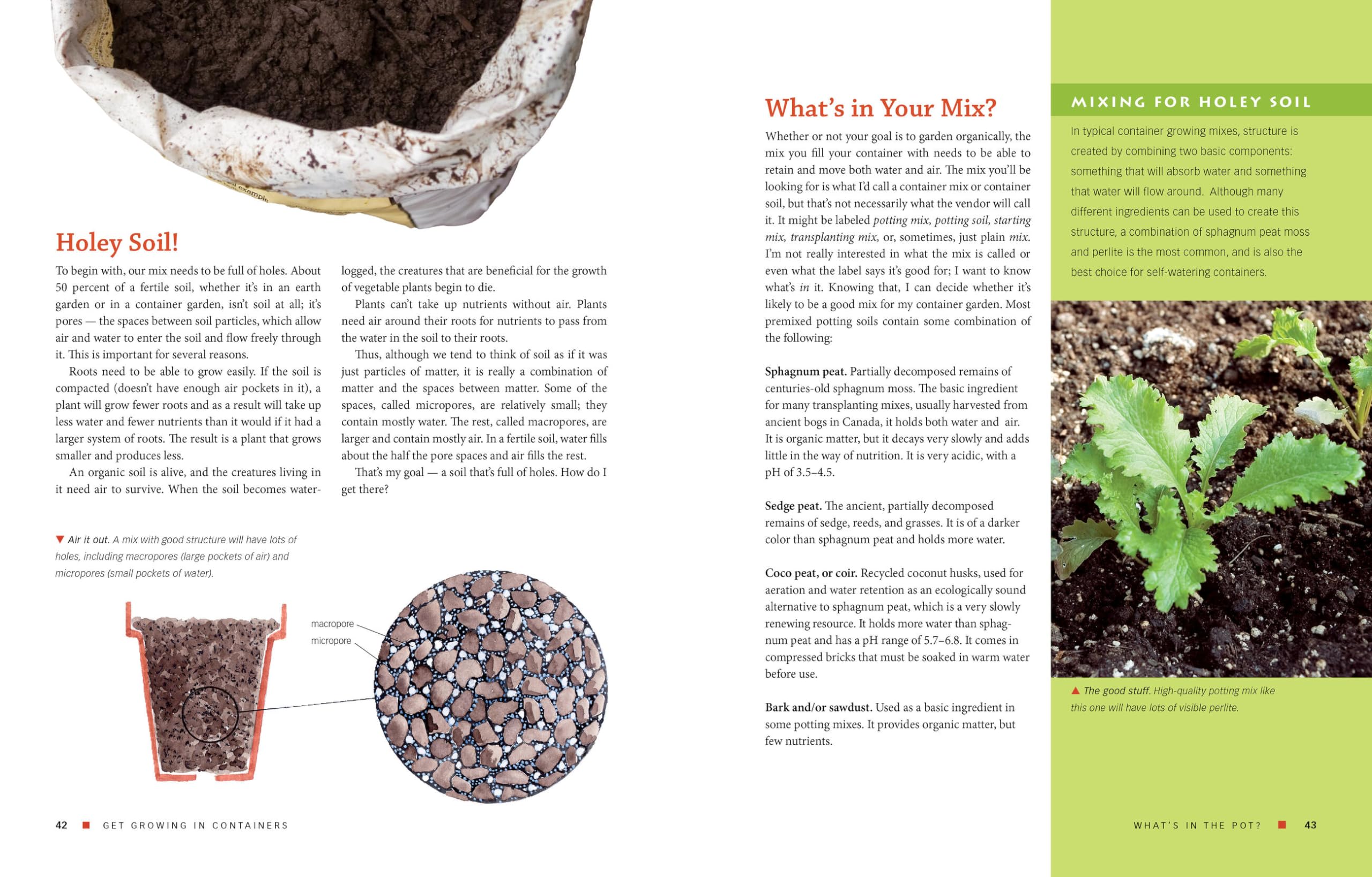 The Vegetable Gardener's Container Bible: How to Grow a Bounty of Food in Pots, Tubs, and Other Containers