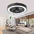 Jinweite Ceiling Fan with Light, 19 inches LED Remote Control Fully Dimmable Lighting Modes Invisible Acrylic Blades Metal Shell Semi Flush Mount Low Profile Fan,Black