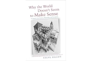 Why the World Doesn't Seem to Make Sense: An Inquiry into Science, Philosophy, and Perception
