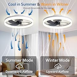 LCYFBE 20" Small Bladeless Ceiling Fan with Lights