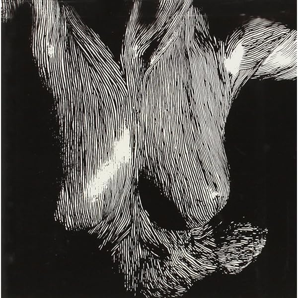 Oceansize - Everyone Into Position - Amazon.com Music