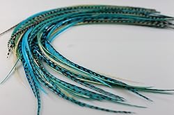 5 Feathers In Total 7"-10" in Length 5 Beautiful