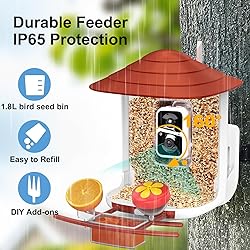 birdsnap® TUC Smart Bird Feeder with Camera 2K