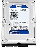 WD Blue 250GB Everyday PC Desktop Hard Drive: 3.5 Inch, SATA 6 Gb/s, 7200 RPM, 16MB Cache (WD2500AAKX) (Old Model)