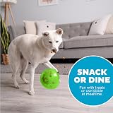 Outward Hound Snoop Interactive Treat Dispensing Dog Toy Large Green view 6