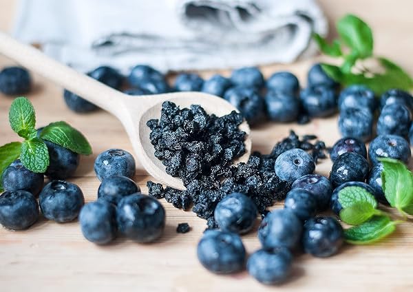 FOOD TO LIVE ORGANIC DRIED BLUEBERRIES, 8 OUNCES NON-GMO, WHOLE BERRIES, LIGHTLY SWEETENED, COATED WITH SUNFLOWER OIL, KOSHER, VEGAN, UNSULFURED, BULK. RICH IN ANTIOXIDANTS. FOR SNACKING, BAKING.