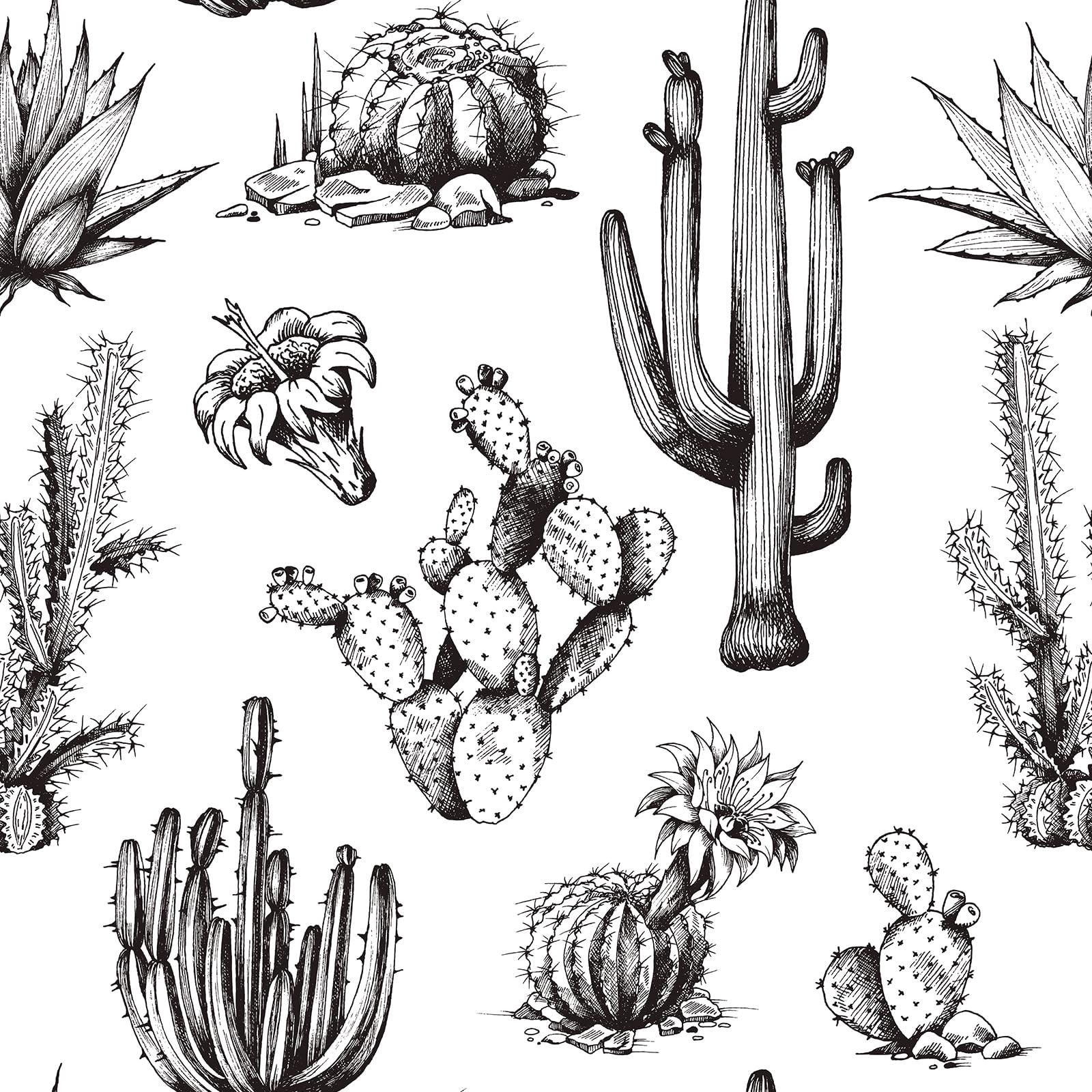 Photo 1 of Livelynine 17.5x276 Cactus Wallpaper Peel and Stick Black and White Western Wallpaper for Bedroom Kitchen Walls Succulents Plant Renter Friendly Black and White Contact Paper for Walls Waterproof
