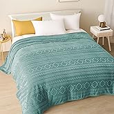 Exclusivo Mezcla Soft Celadon Queen Size Blanket, Lightweight Fleece Sofa Bed Blankets with Decorative Pattern for All Seasons, 90x90 Inches