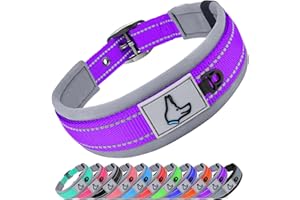 Joytale Dog Collar for Large Dogs, Neoprene Padded and Adjustable, Reflective Wide Heavy Duty Pet Collars with Durable Metal Belt Buckle for Walking, Purple, L