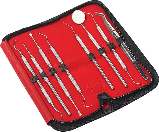 Zahnarzt-Set Für Zuhause – 3-teiliges Edelstahl-Instrumente Mit Zahnsteinentferner, Sonde & Mundspiegel – Professionelle Zahnreinigung Selbst Gemacht
