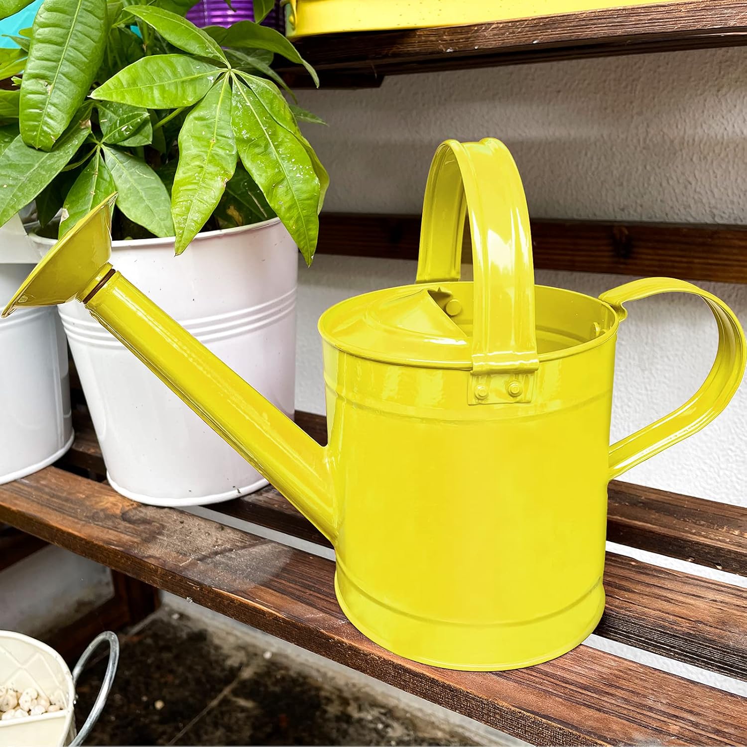 HORTICAN Galvanized Watering Can Small Lightweight Indoor Outdoor Garden Plants, Kids Watering Can, with Shower Head 1.5L/0.3 Gallon, Yellow : Garden & Outdoor