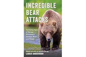 Incredible Bear Attacks: Terrifying Tales of Savage Encounters between Bears and People