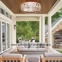 MOBEYU 12.5" Caged Ceiling Fans with Lights，Flush