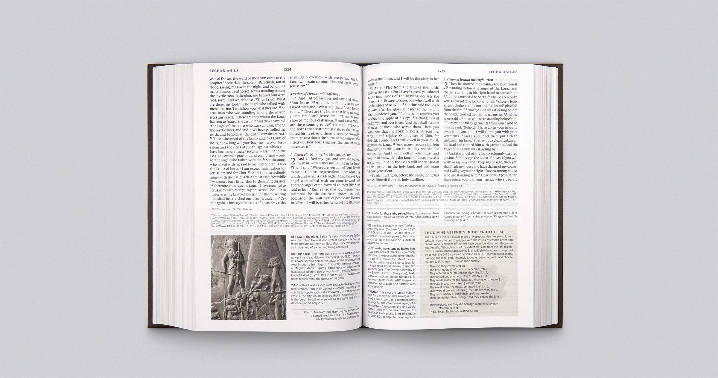 ESV Archaeology Study Bible