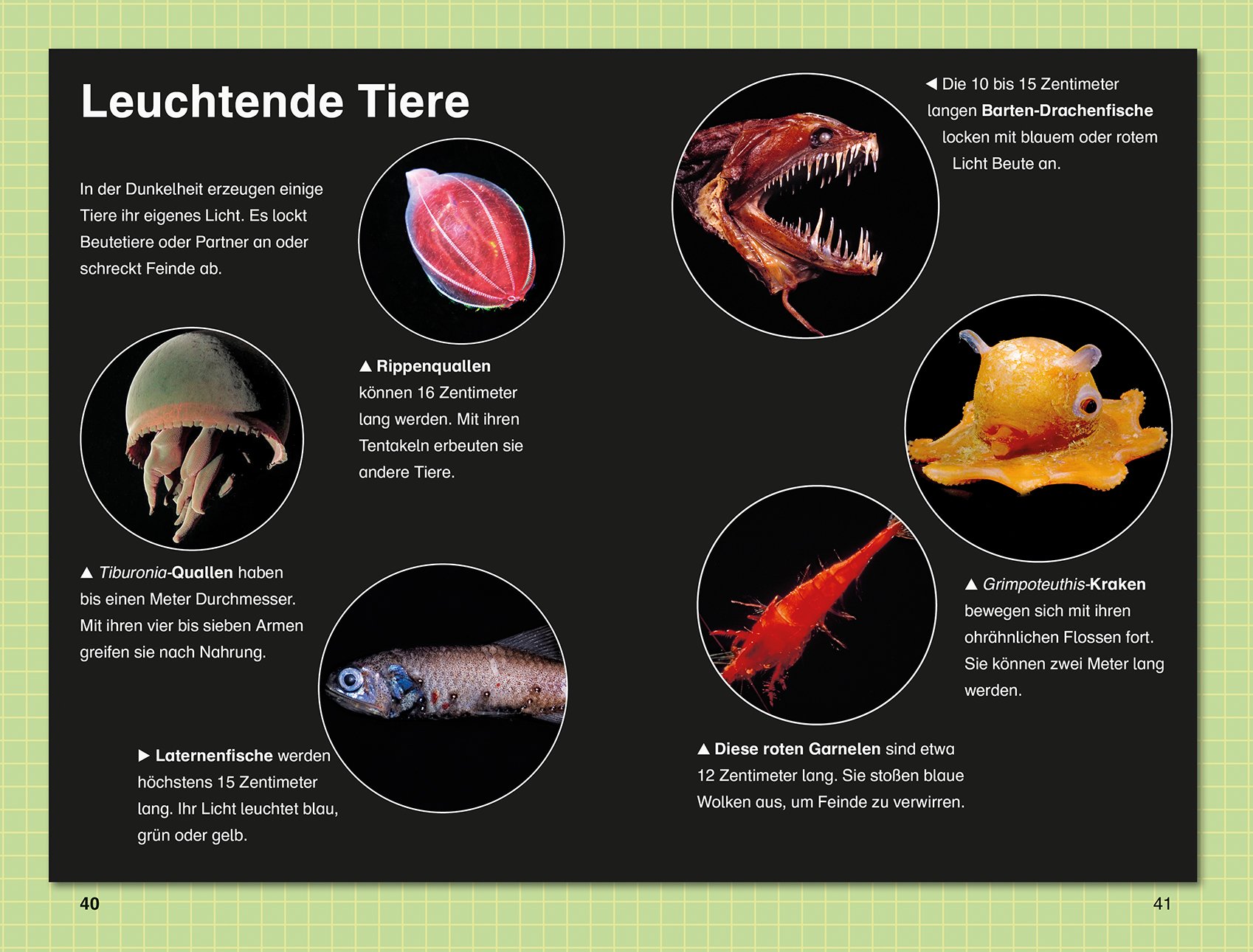 Superleser Angriff Aus Der Tiefe 3 Lesestufe Sach - 