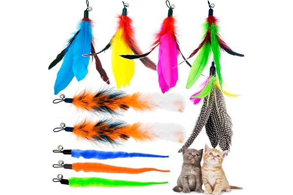 Cat Feather Toys Refills Cat Wand Replacement Feathers, 10 PCS Feather Cat Toy Refills, Cat Wand Attachments Feathers Worms f