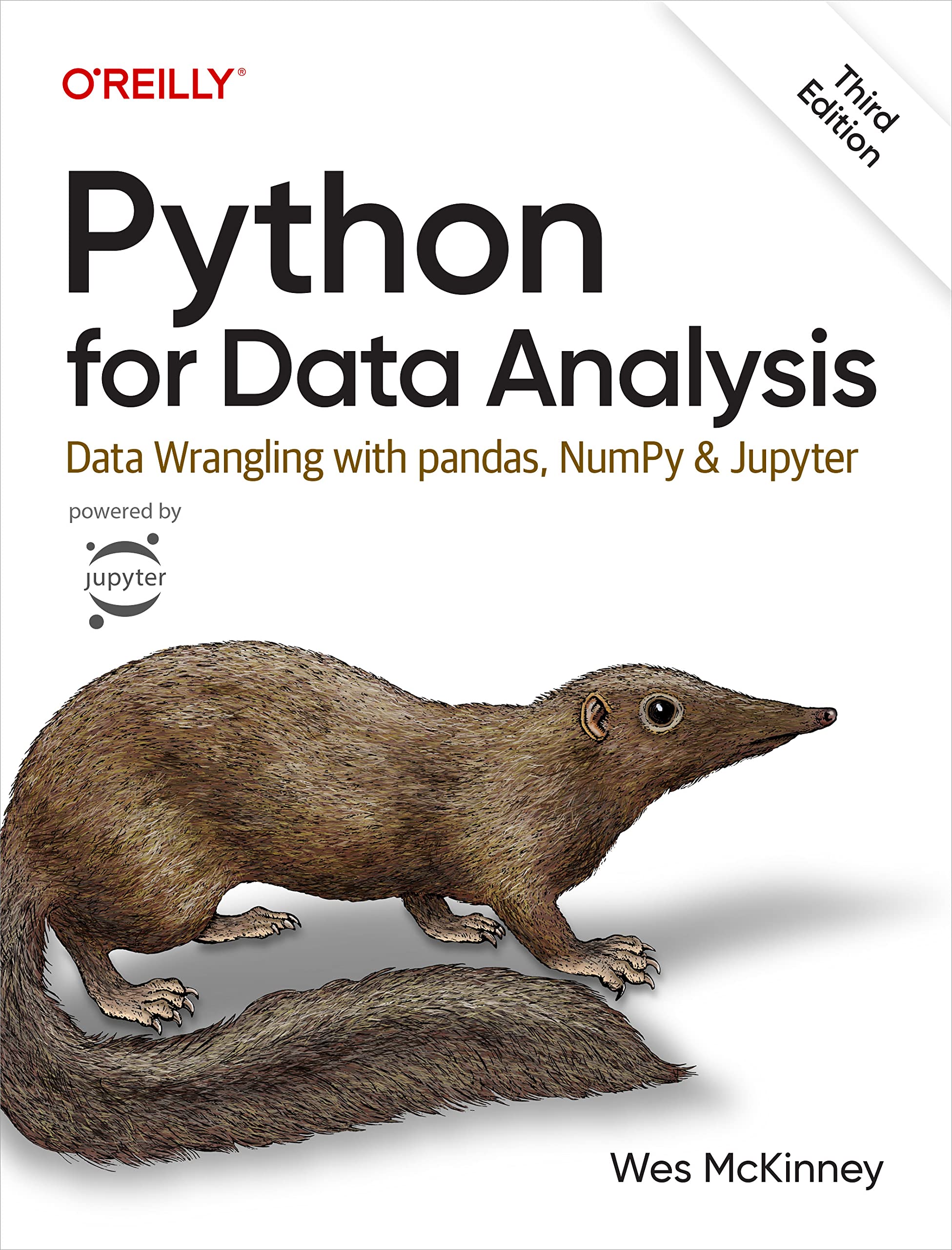 Mua Python for Data Analysis: Data Wrangling with pandas, NumPy, and ...