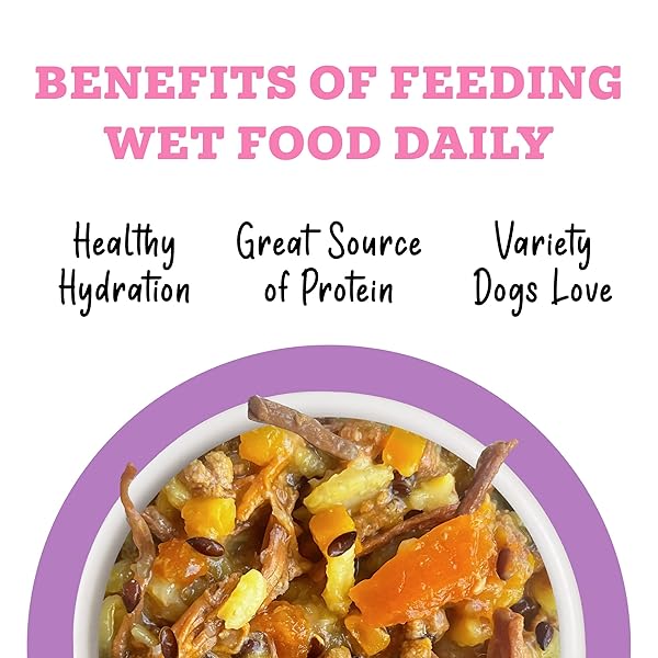 AWESOME BELLY WET DOG FOOD, SENSITIVE STOMACH SUPERHERO VARIETY PACK, 14OZ CAN (PACK OF 9)