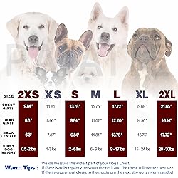 Cozy and Functional Dog Shirts for Small