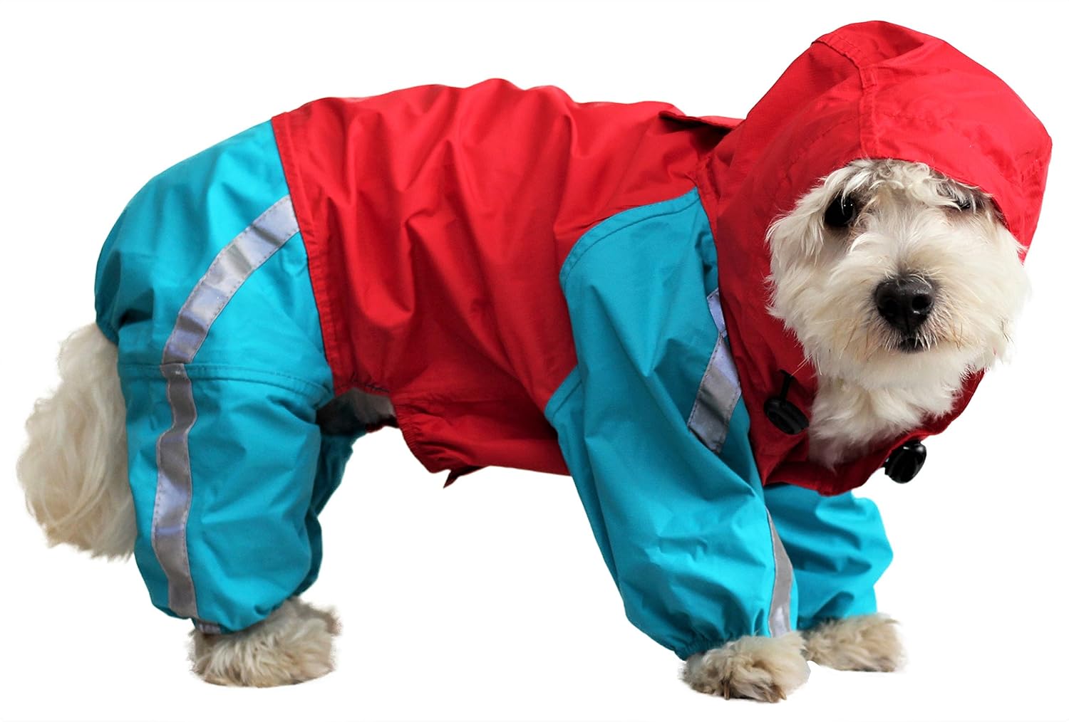 raincoat for beagle