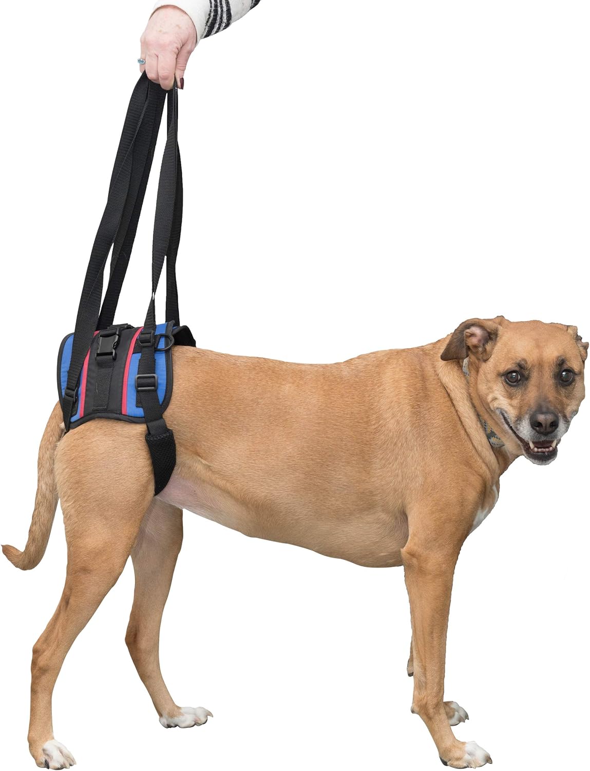 Walkin' Lift Combo Rear Dog Harness for