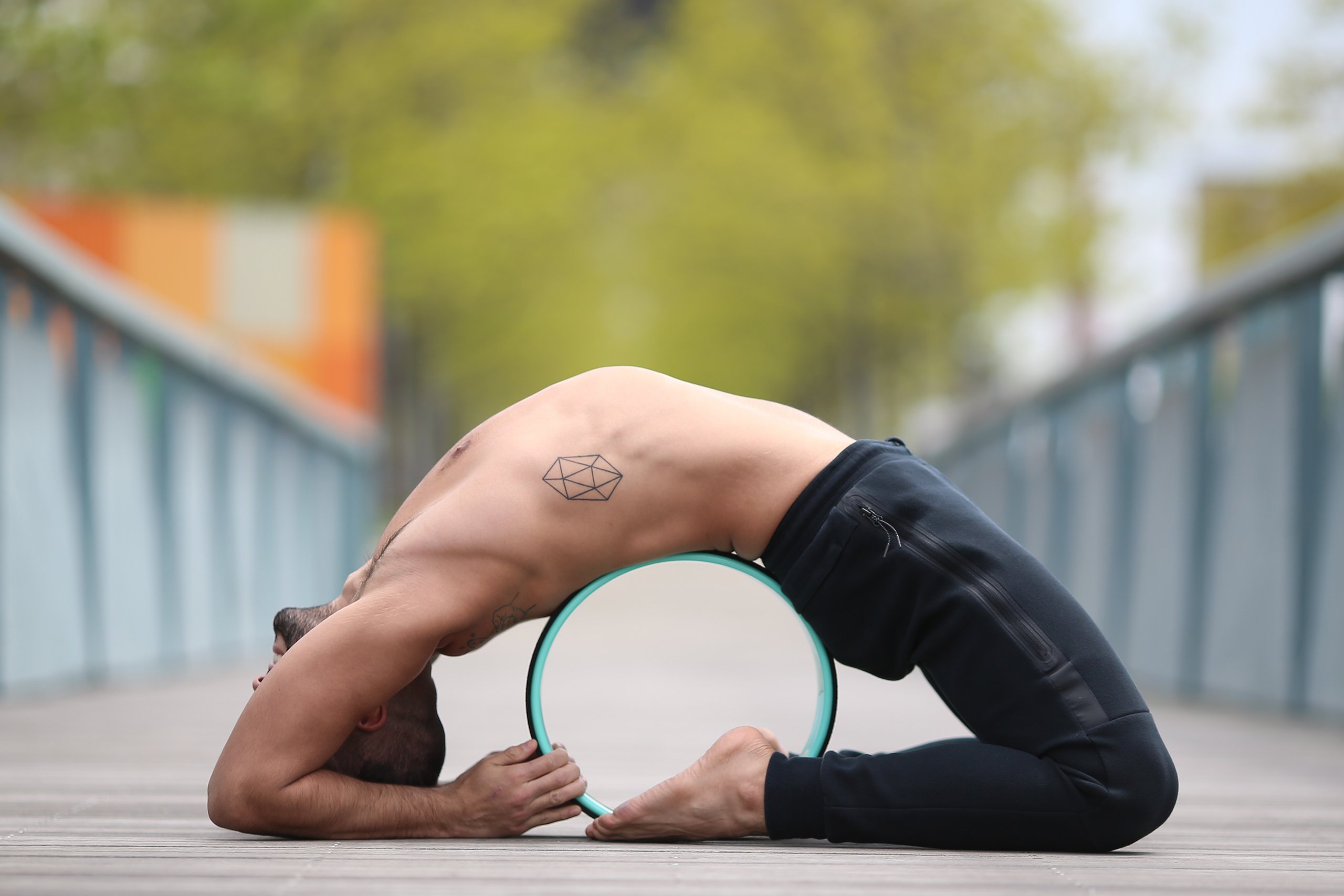 Dharma Yoga Wheel BASIC EcoNomical Relieves Pain and Stress in your