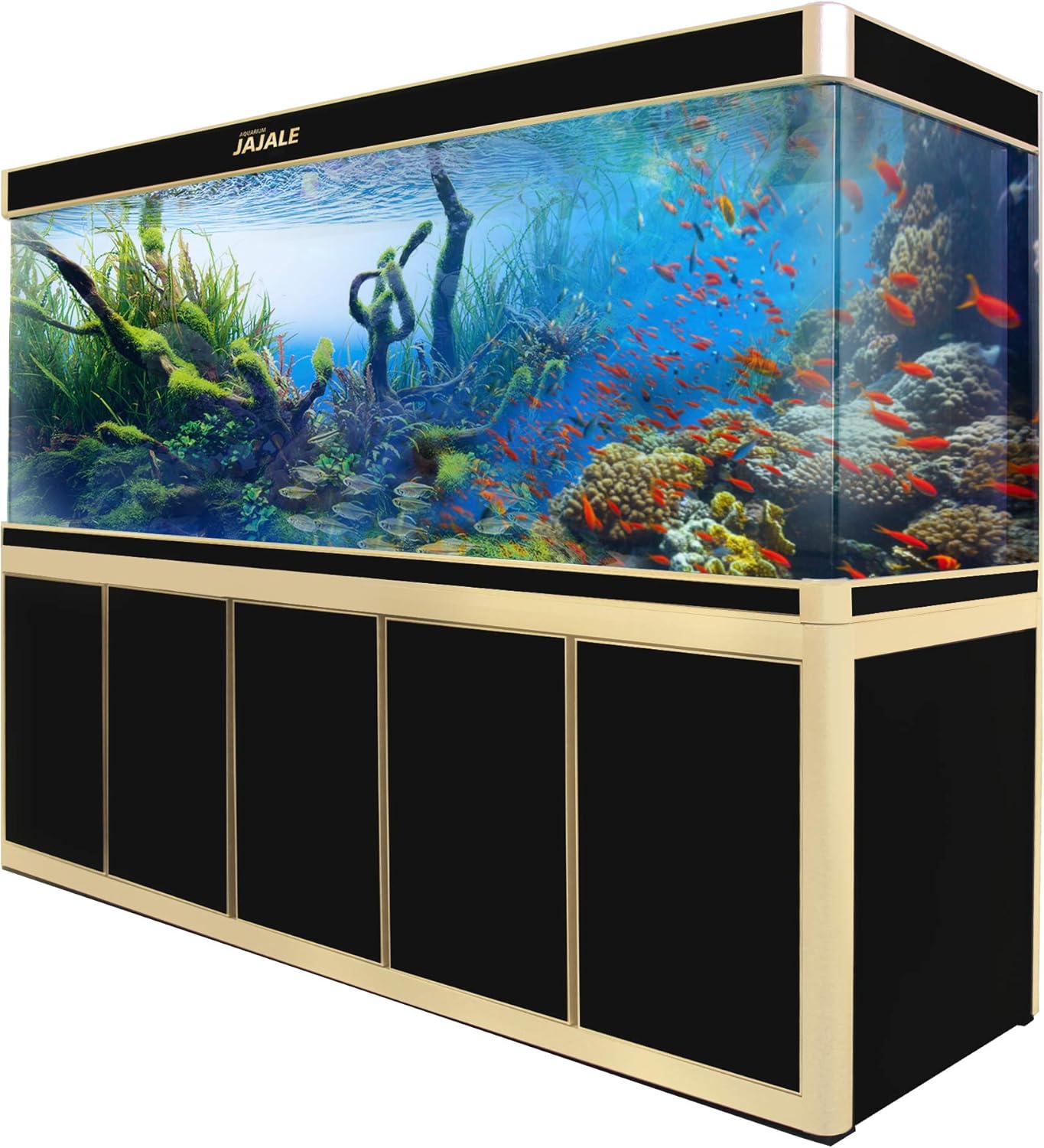 fish tank bundle