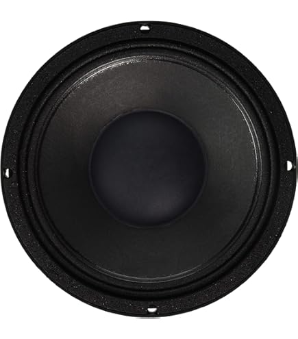 Amazon.com: B&C Speakers 15FW76-8 LF Drivers 15-inch Woofer 8 Ohms