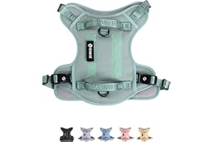 FEI AND EVE 2025 New Edition, Fei & Eve Classic Dog Harness - Quick-Release Buckles | 3-Point No-Pull Control | Heavy-Duty 900D Nylon | Dual Safety Handles | Breathable Mesh | Adjustable Fit | Small,Green