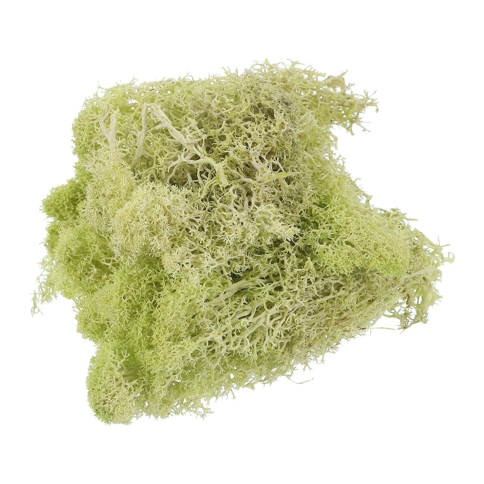 PATIKIL 3.5 OZ Fake Moss, Preserved Reindeer Moss Artificial Moss Lichen Centerpieces Decor Faux Moss for Potted Plants Christmas Crafts, Light Yellow-Green