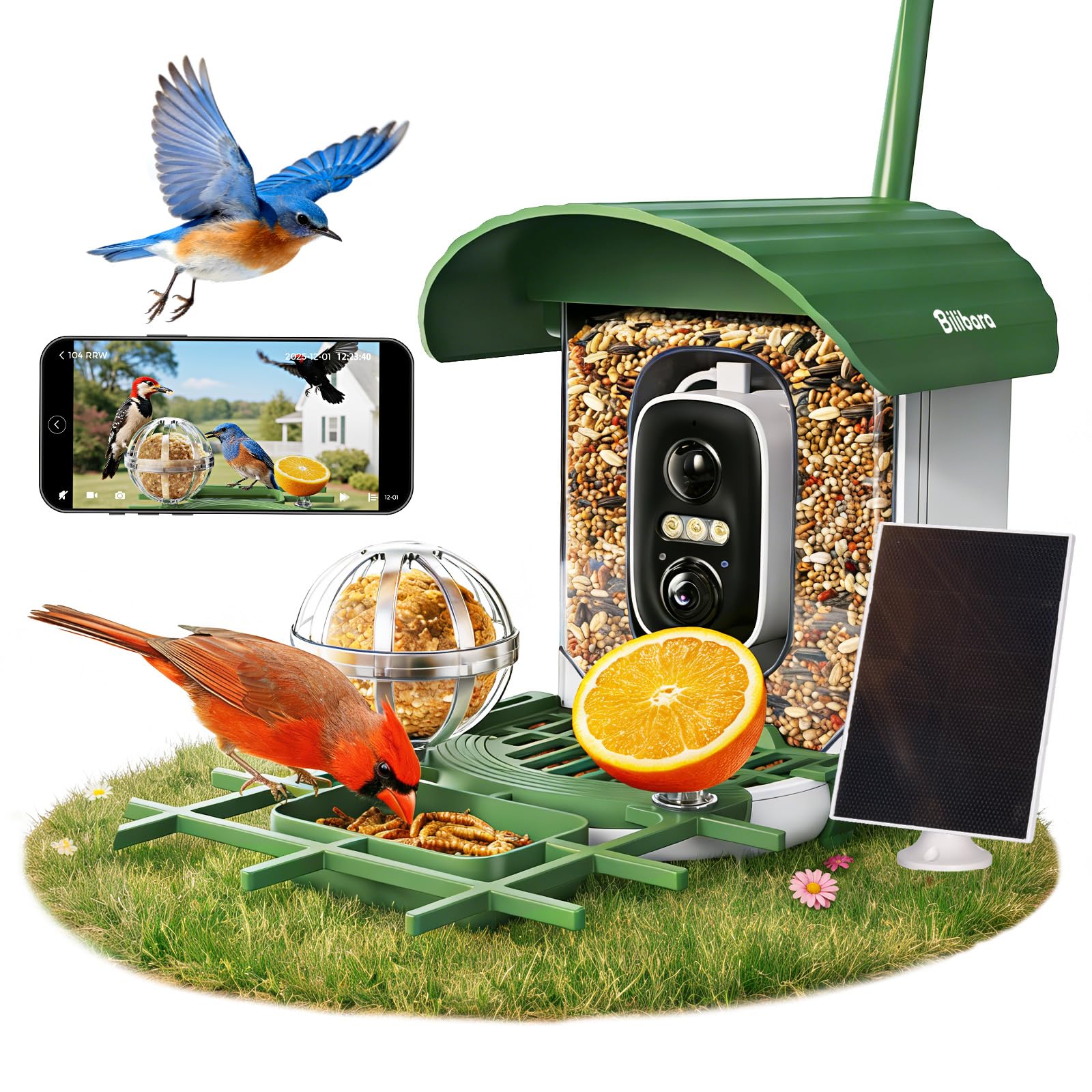 Photo 1 of Bilibara Bird Feeder with Camera, 10000 AI Smart Bird Feeders Solar Powered, 2.4G WiFi, 2K HD and Instant Alerts, Bird House Feeder for Outdoors, Ideal for Parents, Lovers(Green)