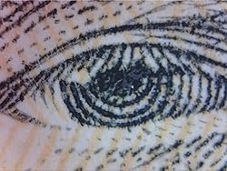 OptiTekscope Digital USB Microscope Camera- True