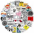 BulbaCraft 100Pcs Aviation Stickers and Decals, Pilot Stickers for Laptop, Airplane Decals, Aviation Gifts, Airplane Party Decorations, Gifts for Women & Men