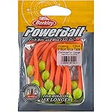 Berkley PowerBait Fishing Soft Bait