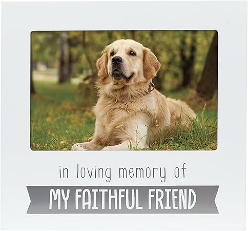 amazon pet memorial
