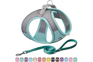 AIITLE Dog Harness, Summer No-Pull Cat Harness with a Leash, Adjustable Reflective Dog Vest, Cat Harness Escape Proof, Outdoor Walking,Training for Extra Small Dogs and House Cats Turquoise XXXS