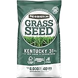 Pennington Kentucky 31 Tall Fescue Penkoted Grass