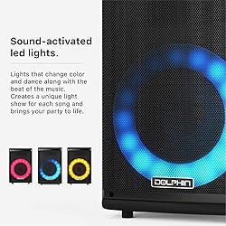 Dolphin SP-807RBT Bluetooth Karaoke